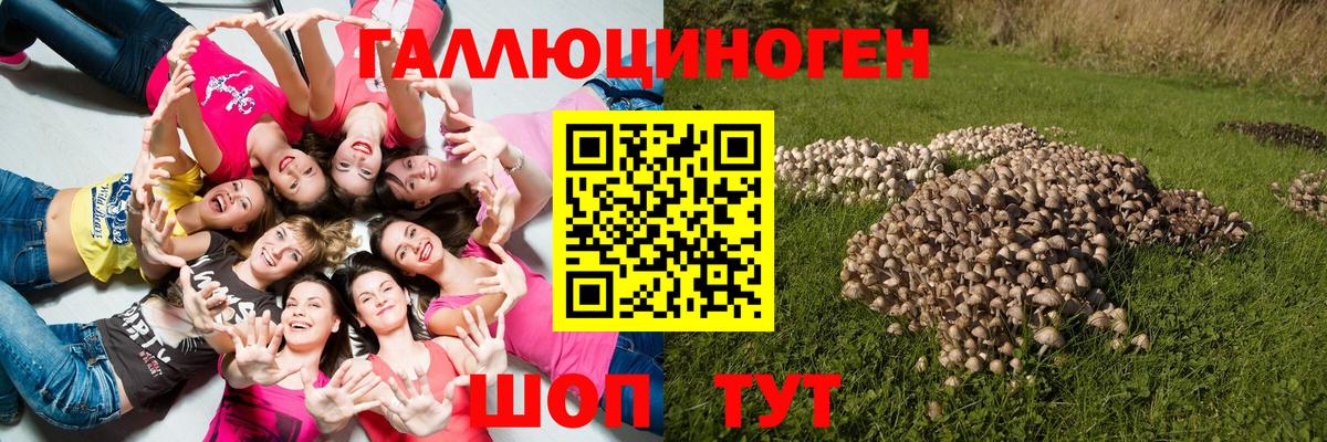 Якутск  Псилоцибиновые грибы прущие грибы  Псилоцибиновые грибы MAGIC MUSHROOMS  Вход с VPN 